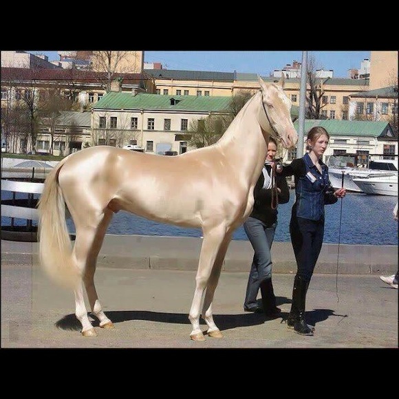 🌍five star seller - check my love notes - Picture 13 of 16